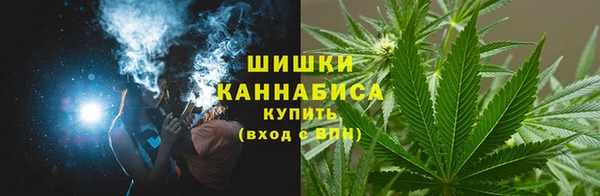 амф Козловка