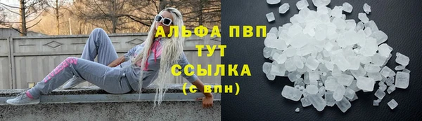 прущие грибы Козельск