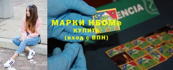прущие грибы Козельск