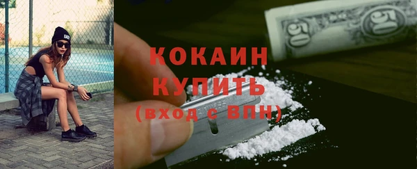 амф Козловка