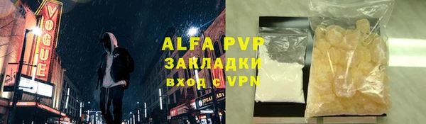 прущие грибы Козельск