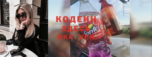 дмт Кодинск