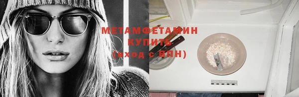 прущие грибы Козельск