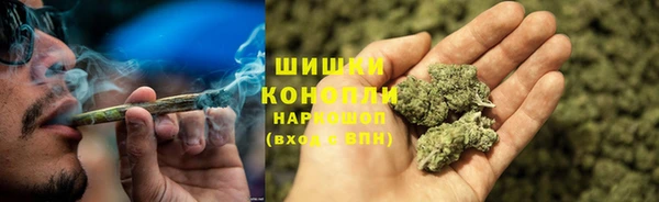 амф Козловка