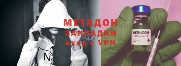 прущие грибы Козельск
