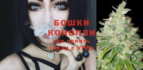 амф Козловка