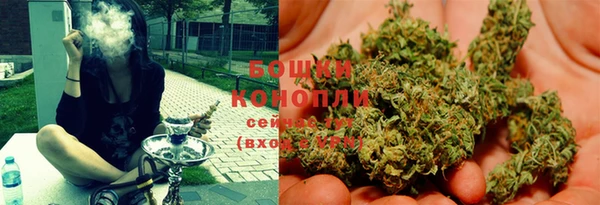прущие грибы Козельск