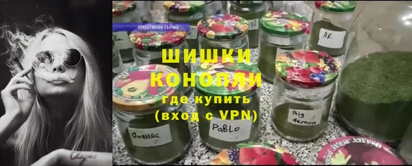амф Козловка