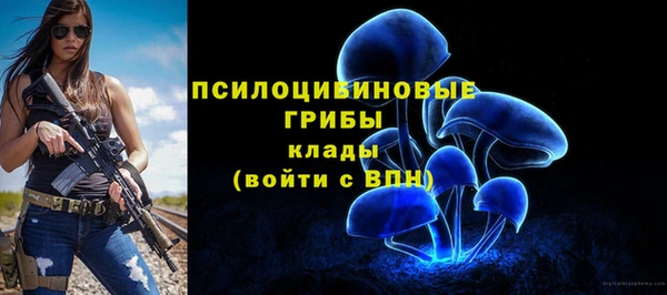 дмт Кодинск