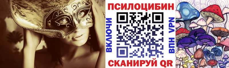 Псилоцибиновые грибы GOLDEN TEACHER  МЕГА онион  Шадринск 