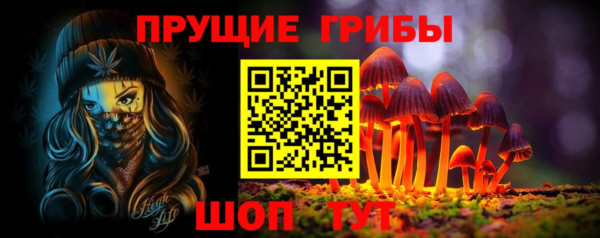 Галлюциногенные грибы Cubensis  Вход с VPN  Псилоцибиновые грибы MAGIC MUSHROOMS  Шадринск 
