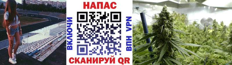 Шишки марихуана конопля  OMG ссылки  Шадринск 